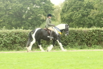 SBM_75157