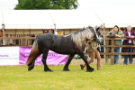 SBM_00364