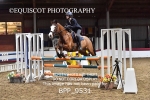 BPP_9531