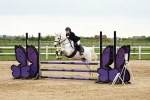 SBM_009134