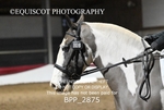 BPP_2875