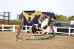 SBM_01736