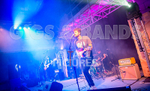 The Tarantulips-27