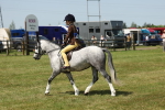 SBM_05334