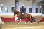 SBM_20218