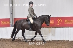 BPP_0572