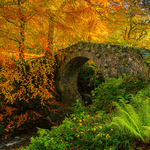 Autumn At Foleys Bridge 2