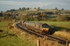 19.10.12 - 66425 & 66422 3J11 Carlisle - Carlisle, Langwathby