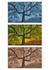 Three TreesTriptych 1
