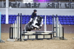 SBM_004397
