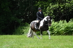 WJ7_2664
