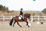 SBM_018215