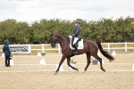 SBM_004851