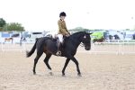 SBM_10077