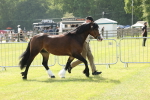 SBM_02061