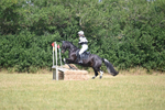 WJ6_1181