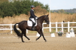 SBM_008191