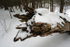 DOFtrunk23-wl