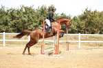 SBM_000575
