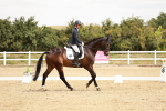 SBM_002973