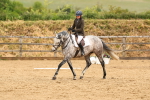 SBM_002379