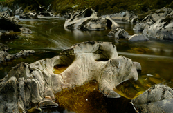 Freshwater 1 portfolio