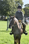 S31 - Novice & Newcomer Working Hunter Pony portfolio
