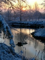 Landscapes portfolio