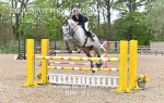 BPP_8174