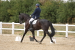 SBM_015614