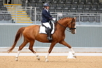 Bogenraith Dressage Saturday 28th June 2025 portfolio