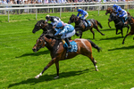 230526-Race 1-Lord Roxby-0301