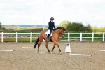 SBM_000497