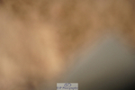 240317A-103055-04895