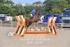 BPP_3494