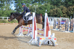 Class 4: Pony British Novice/80cm Open portfolio