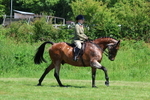 3E7A8250