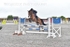 BPP_6334