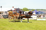 SBM_06714