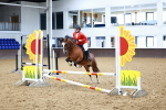SBM_000239