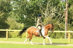SBM_67451