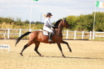 SBM_007687
