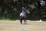 PC80 Ride Off portfolio