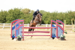 Class 4 - Senior Foxhunter - 1.20m Open portfolio
