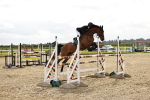 SBM_001605