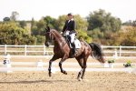 SBM_016995
