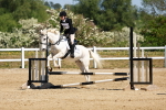 SBM_007641