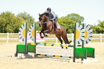SBM_006020