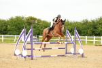 SBM_001653