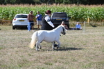 WJ6_4798